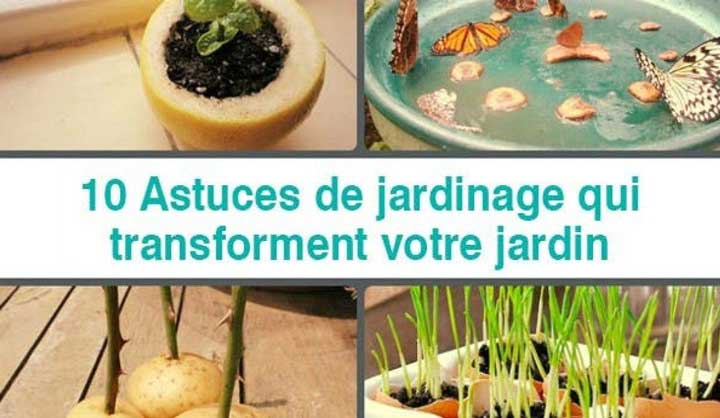 10 Astuces de jardinage qui transforment votre jardin