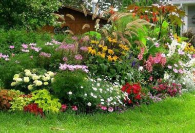 5 Engrais Naturels et Gratuits Pour des Plantes en Super Forme.