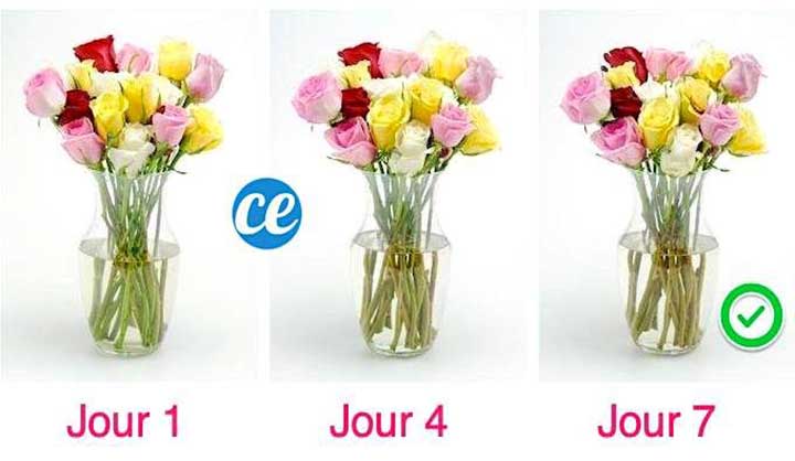 Comment Faire Durer Un Bouquet Plus Longtemps ? L'Astuce De Mon Fleuriste.