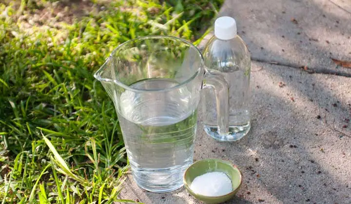 Mauvaises herbes : 10 astuces pour les éliminer de manière naturelle