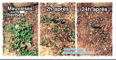 5 Désherbants Faits Maison Que Toutes les Mauvaises Herbes DÉTESTENT.