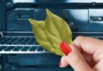 Conseils pour parfumer votre maison avec des feuilles de laurier