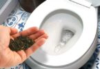 5 astuces pour éliminer l’odeur d’urine de la salle de bain