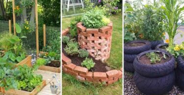 14 astuces économiques pour créer votre propre jardin surélevé et écologique